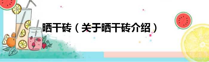 晒干砖 关于晒干砖介绍
