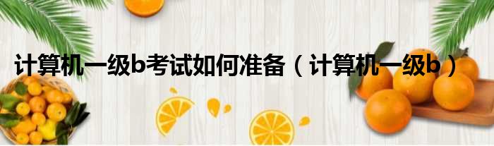 计算机一级b考试如何准备 计算机一级b