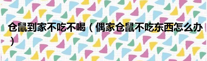 仓鼠到家不吃不喝 偶家仓鼠不吃东西怎么办