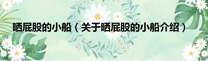 晒屁股的小船 关于晒屁股的小船介绍