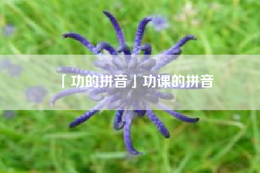  功的拼音功课的拼音