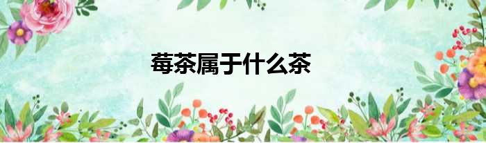 莓茶属于什么茶