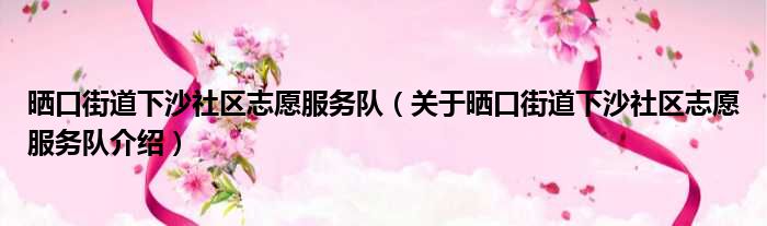 晒口街道下沙社区志愿服务队 关于晒口街道下沙社区志愿服务队介绍