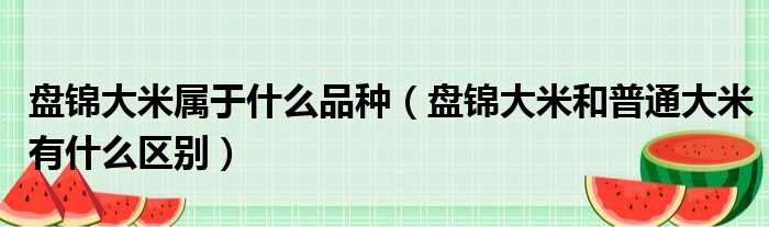 盘锦大米属于什么品种 盘锦大米和普通大米有什么区别