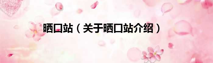 晒口站 关于晒口站介绍