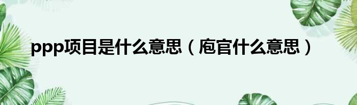 ppp项目是什么意思 庖官什么意思