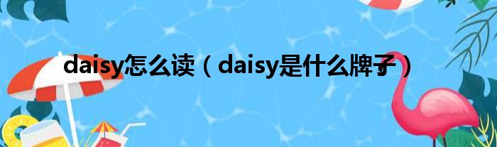 daisy怎么读 daisy是什么牌子