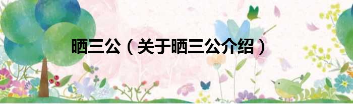 晒三公 关于晒三公介绍