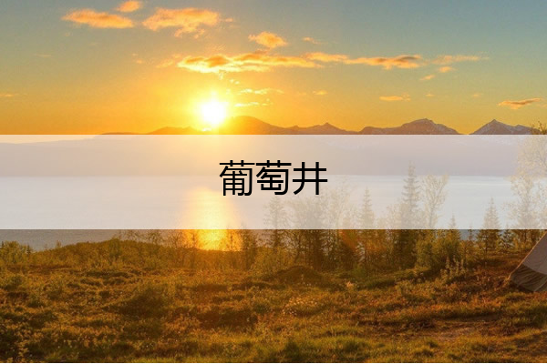 葡萄井 葡萄井图片