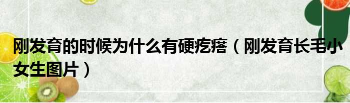 刚发育的时候为什么有硬疙瘩 刚发育长毛小女生图片