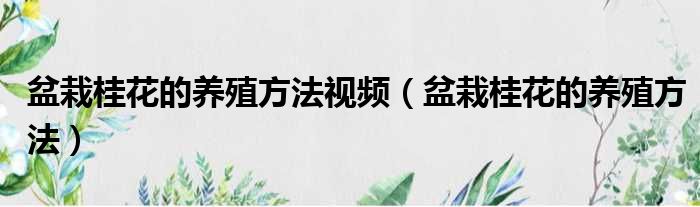 盆栽桂花的养殖方法视频 盆栽桂花的养殖方法