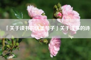  关于读书的优美句子关于读书的诗句