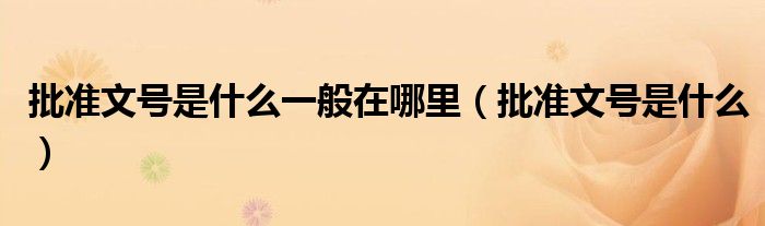 批准文号是什么一般在哪里 批准文号是什么