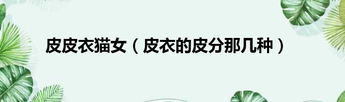 皮皮衣猫女 皮衣的皮分那几种