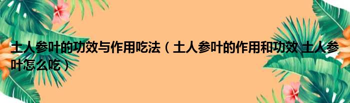 土人参叶的功效与作用吃法 土人参叶的作用和功效 土人参叶怎么吃