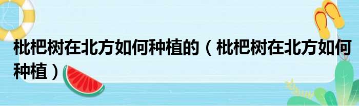 枇杷树在北方如何种植的 枇杷树在北方如何种植