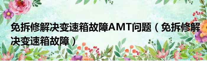 免拆修解决变速箱故障AMT问题 免拆修解决变速箱故障