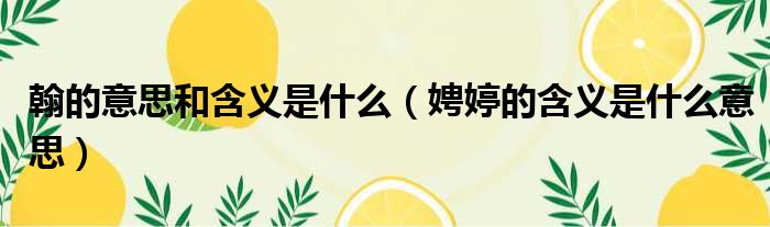 翰的意思和含义是什么 娉婷的含义是什么意思