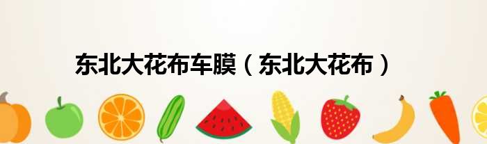 东北大花布车膜 东北大花布