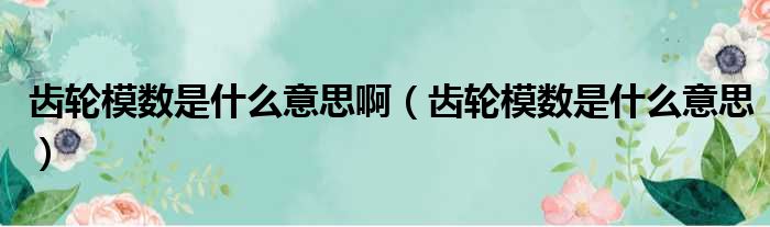 齿轮模数是什么意思啊 齿轮模数是什么意思