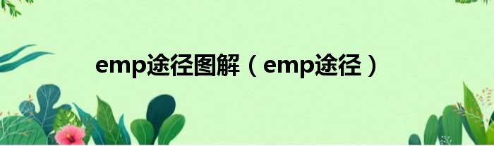emp途径图解 emp途径