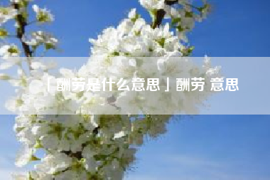  酬劳是什么意思酬劳 意思