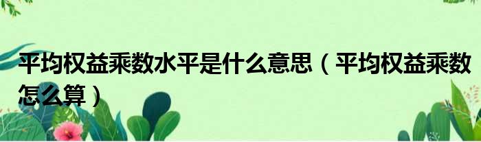 平均权益乘数水平是什么意思 平均权益乘数怎么算