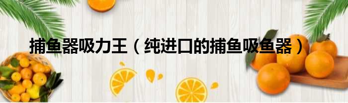 捕鱼器吸力王 纯进口的捕鱼吸鱼器