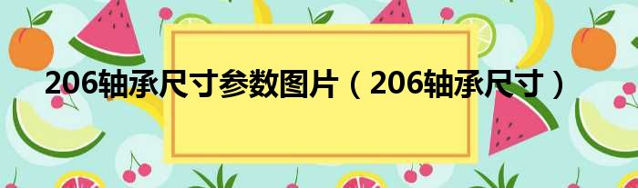 206轴承尺寸参数图片 206轴承尺寸