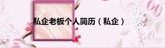 私企老板个人简历 私企