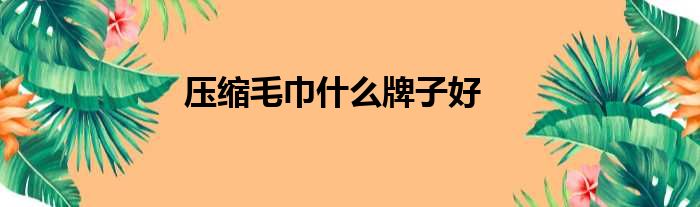 压缩毛巾什么牌子好