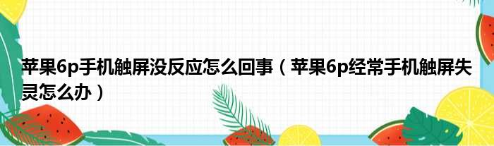 苹果6p手机触屏没反应怎么回事 苹果6p经常手机触屏失灵怎么办