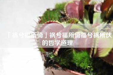  祸兮福所倚祸兮福所倚福兮祸所伏的哲学道理