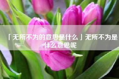  无所不为的意思是什么无所不为是什么意思呢