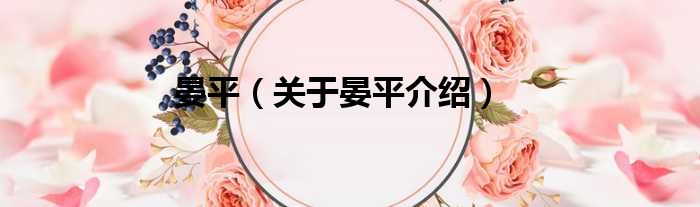 晏平 关于晏平介绍