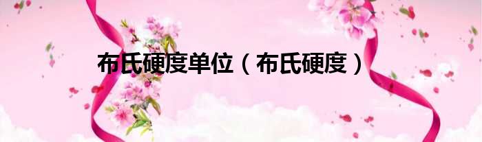 布氏硬度单位 布氏硬度