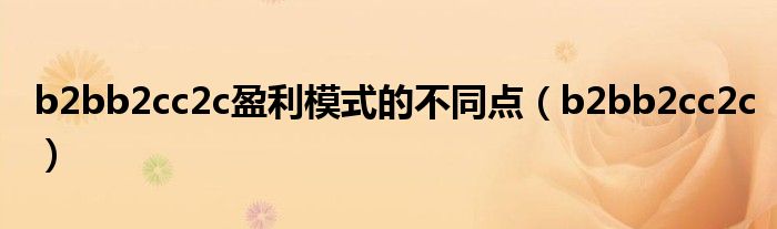 b2bb2cc2c盈利模式的不同点 b2bb2cc2c