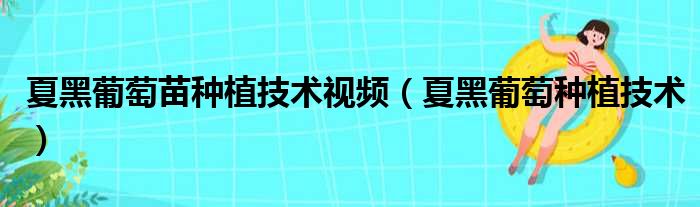 夏黑葡萄苗种植技术视频 夏黑葡萄种植技术