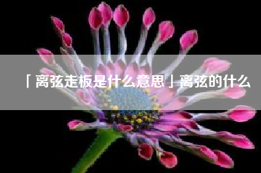  离弦走板是什么意思离弦的什么