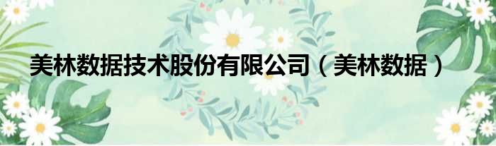 美林数据技术股份有限公司 美林数据