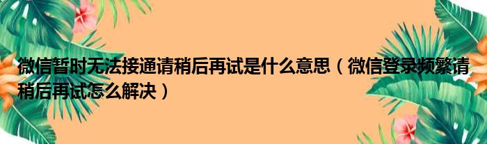 微信暂时无法接通请稍后再试是什么意思 微信登录频繁请稍后再试怎么解决