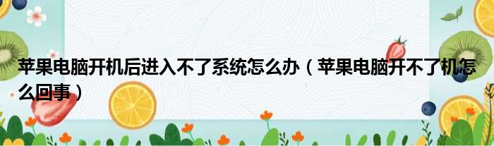 苹果电脑开机后进入不了系统怎么办 苹果电脑开不了机怎么回事