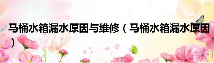 马桶水箱漏水原因与维修 马桶水箱漏水原因