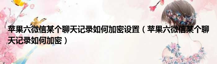 苹果六微信某个聊天记录如何加密设置 苹果六微信某个聊天记录如何加密