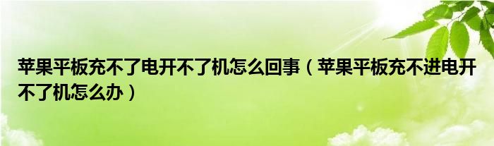苹果平板充不了电开不了机怎么回事 苹果平板充不进电开不了机怎么办