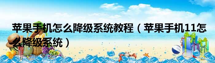 苹果手机怎么降级系统教程 苹果手机11怎么降级系统