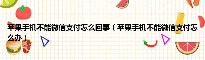 苹果手机不能微信支付怎么回事 苹果手机不能微信支付怎么办