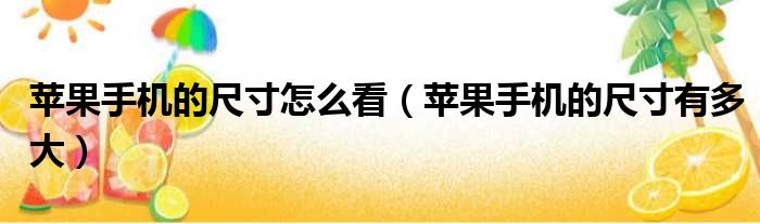 苹果手机的尺寸怎么看 苹果手机的尺寸有多大