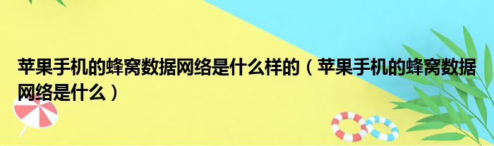 苹果手机的蜂窝数据网络是什么样的 苹果手机的蜂窝数据网络是什么