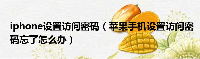 iphone设置访问密码 苹果手机设置访问密码忘了怎么办